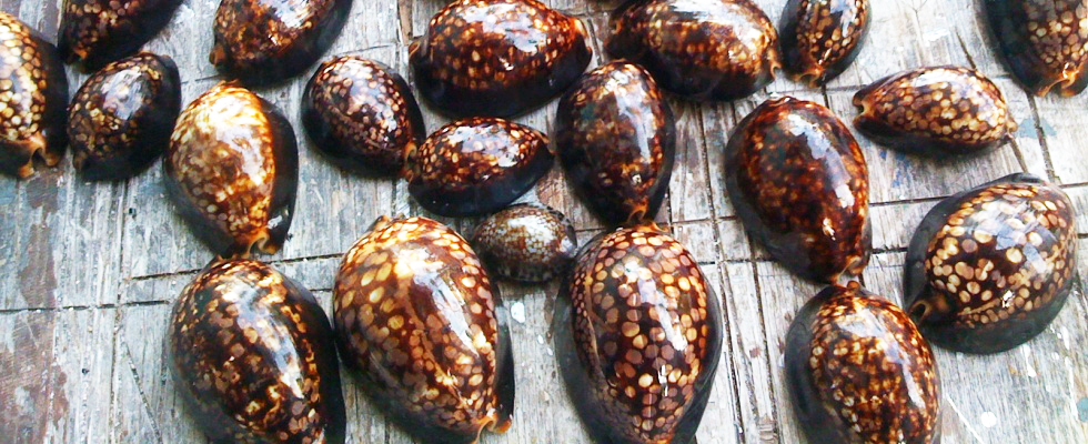 Marshall Islands scenery